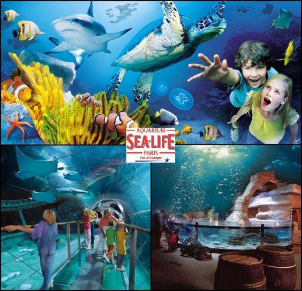 Disneyland Paris 6 Pers- Wifi - Disney Tv Wifi, Parking シェシー エクステリア 写真
